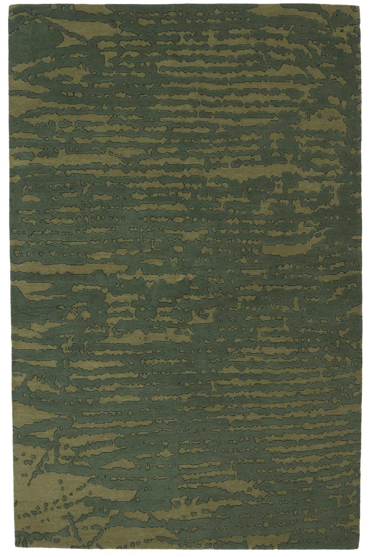imersianvisualiserimage